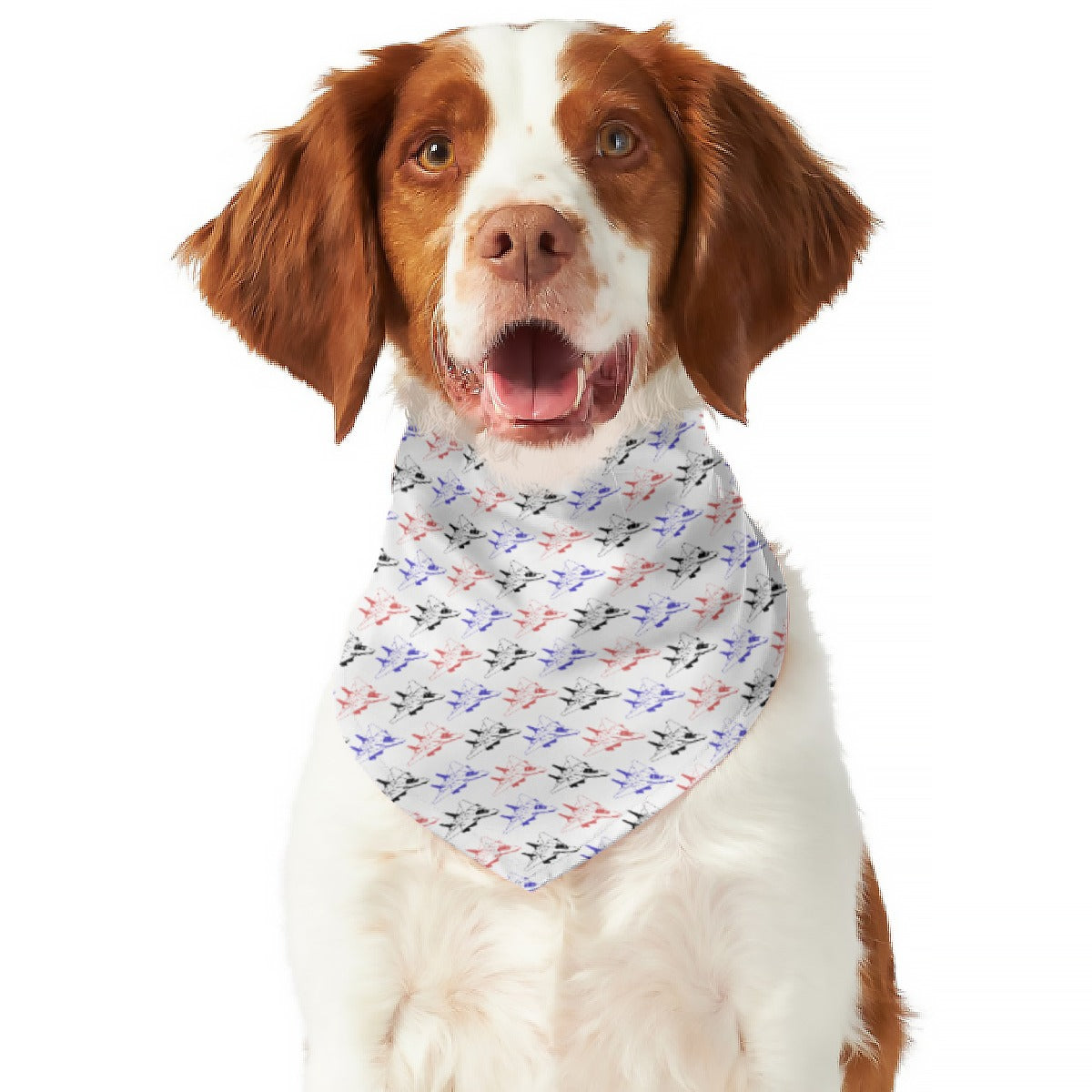The BOMBCAT Bandana
