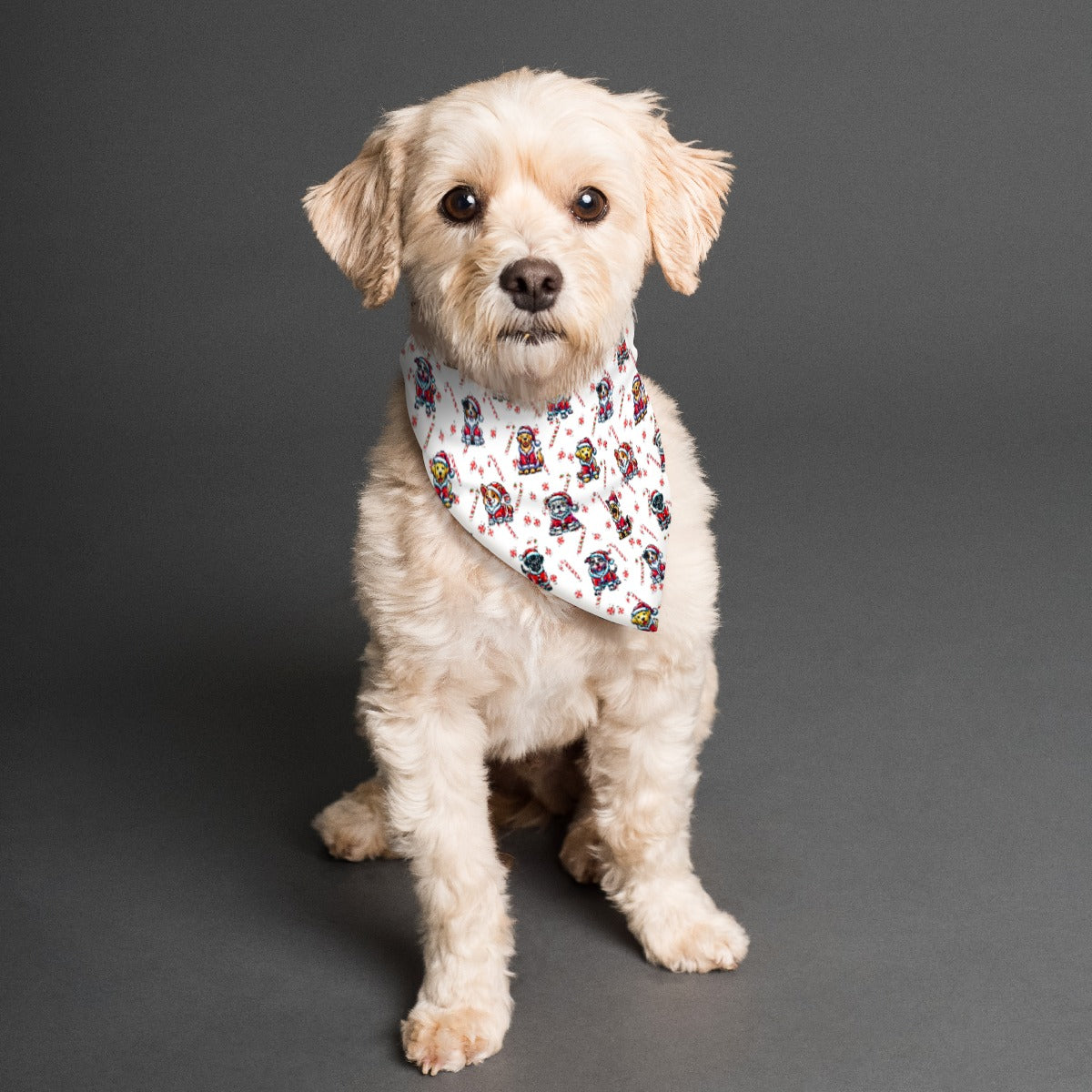 Jingle Beers/Santa Paws Bandana