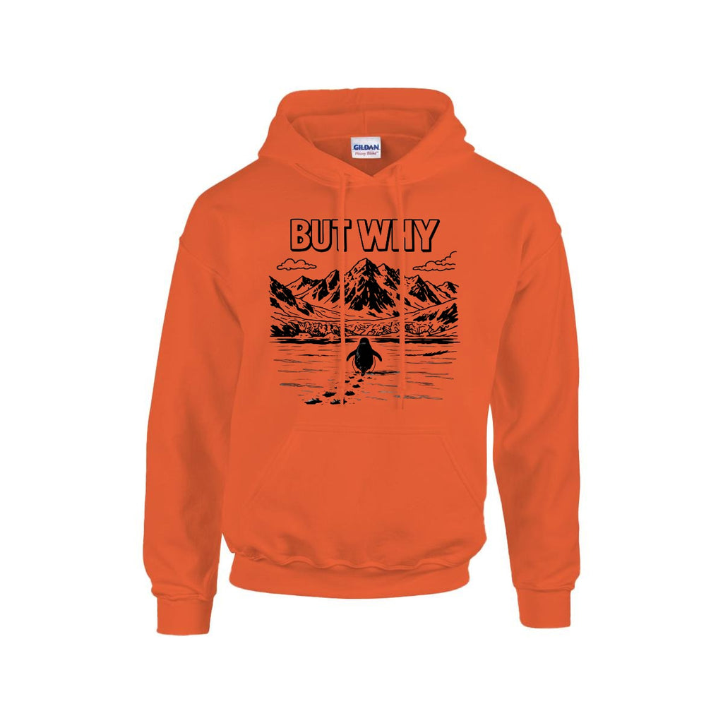 BUT WHY Hoodie