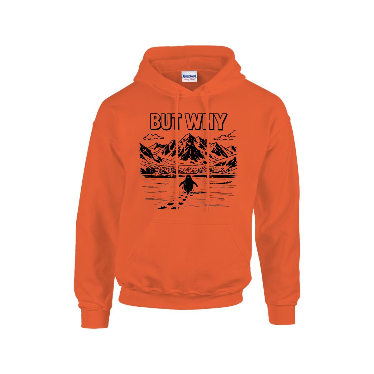 BUT WHY Hoodie