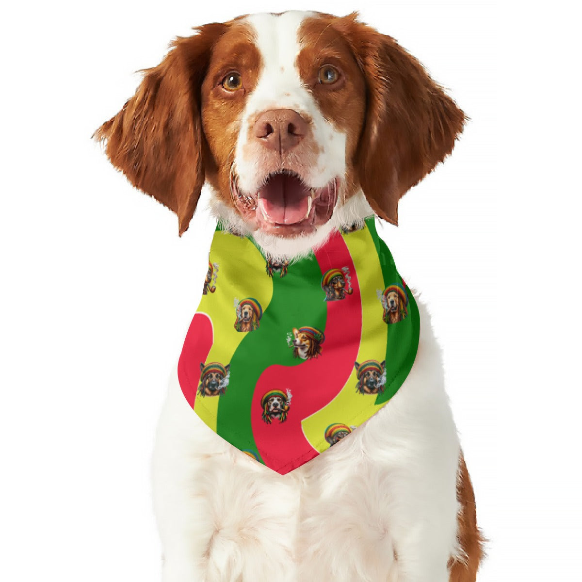 Rasta Impasta Bandana