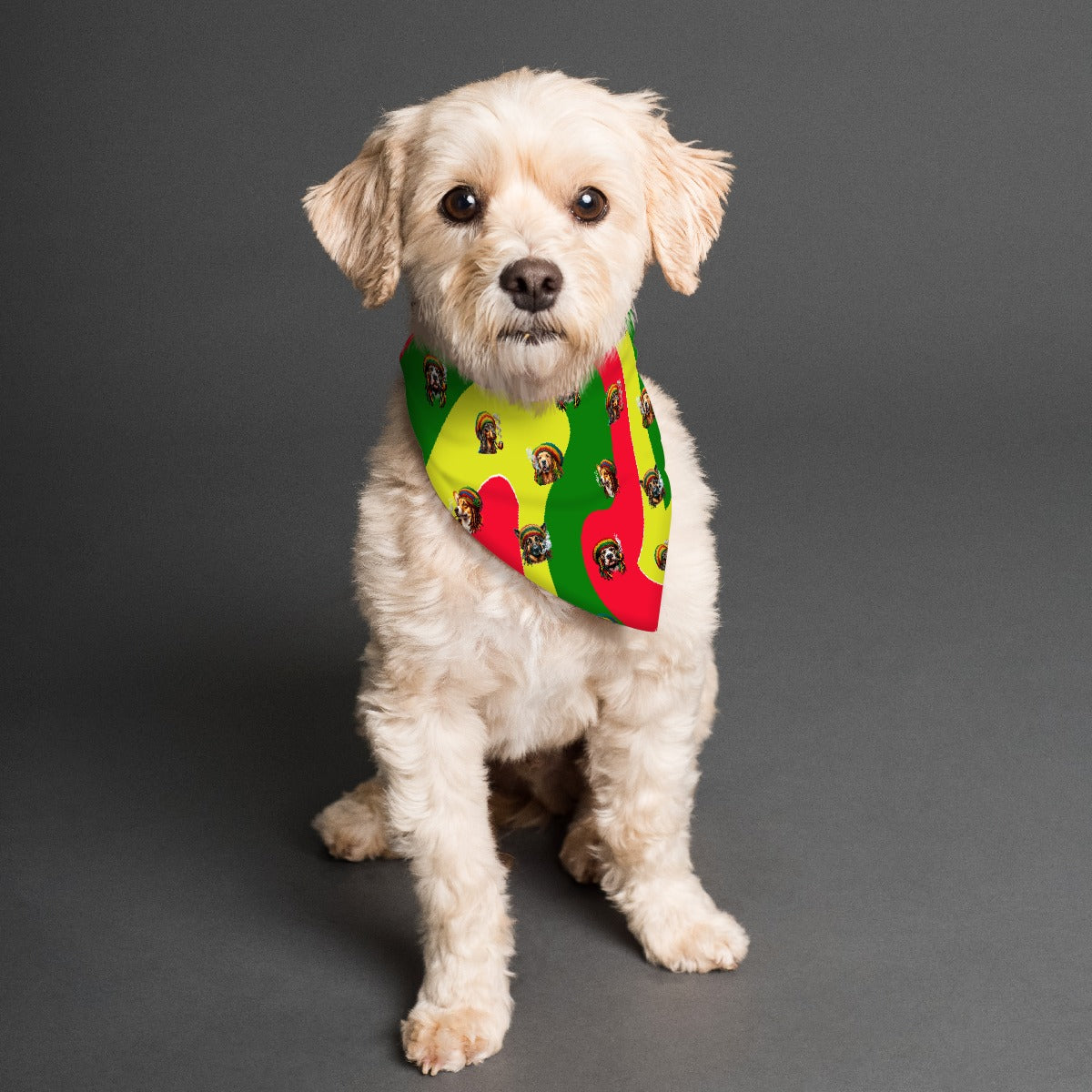 Rasta Impasta Bandana