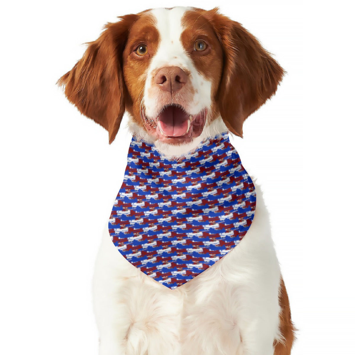Hook Shot Bandana