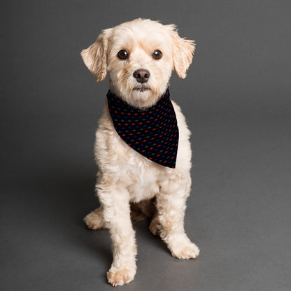 Cruise Altitude Bandana