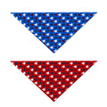 Freedom Flyer