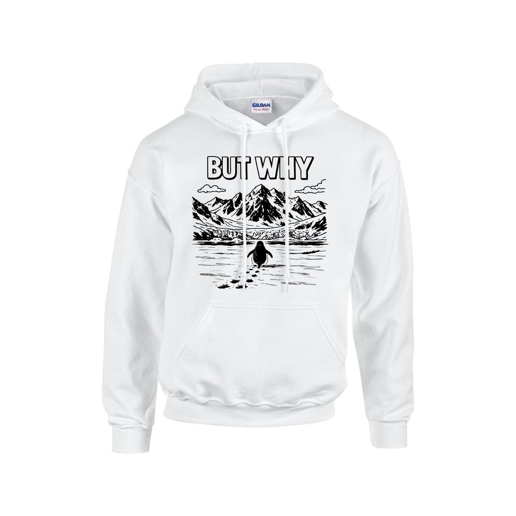 BUT WHY Hoodie