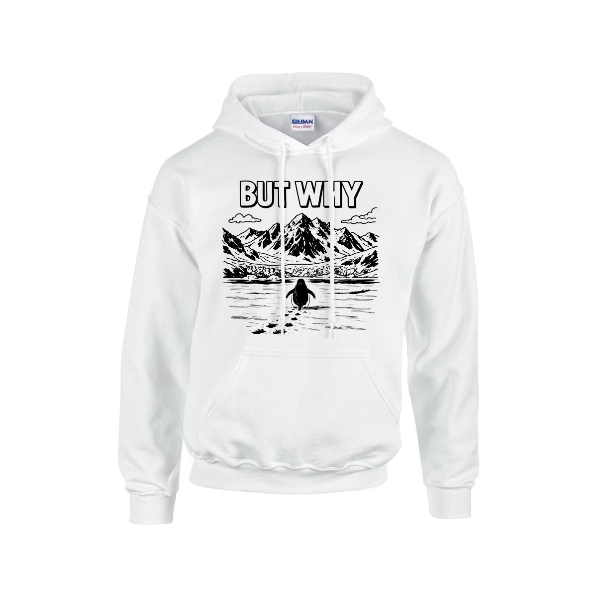 BUT WHY Hoodie
