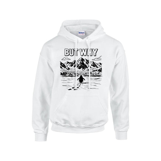 BUT WHY Hoodie