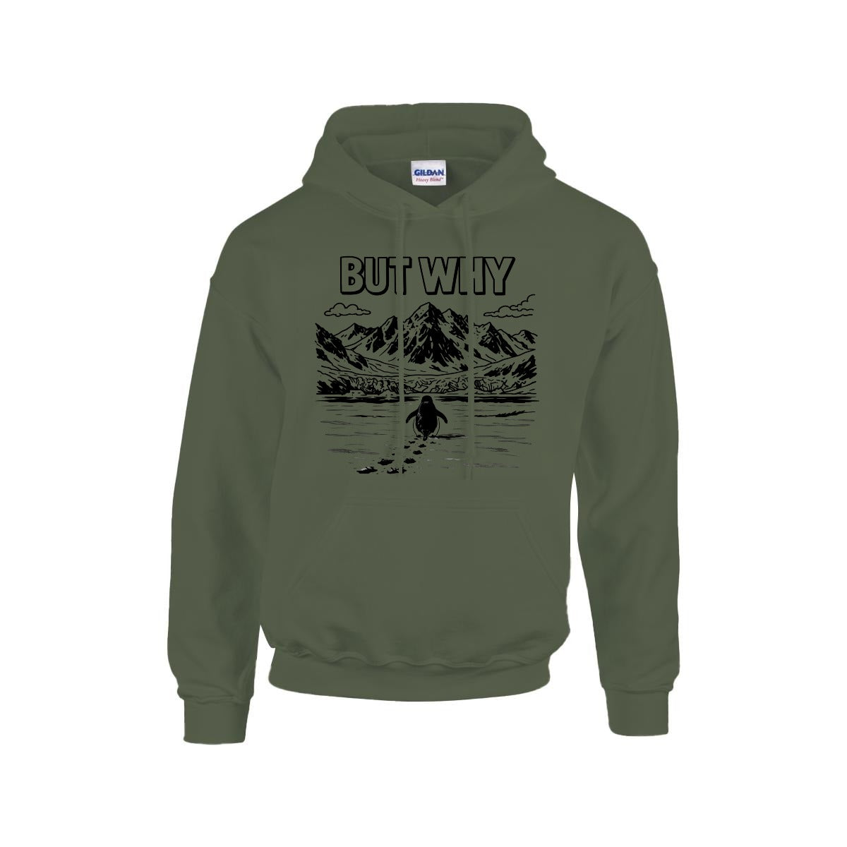BUT WHY Hoodie