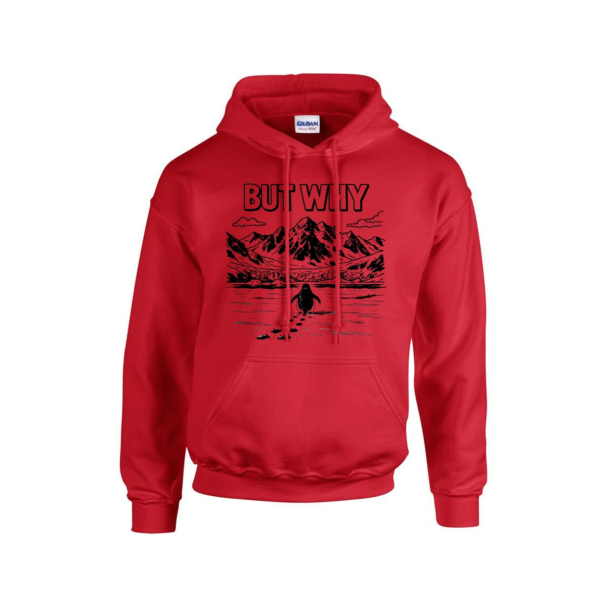 BUT WHY Hoodie