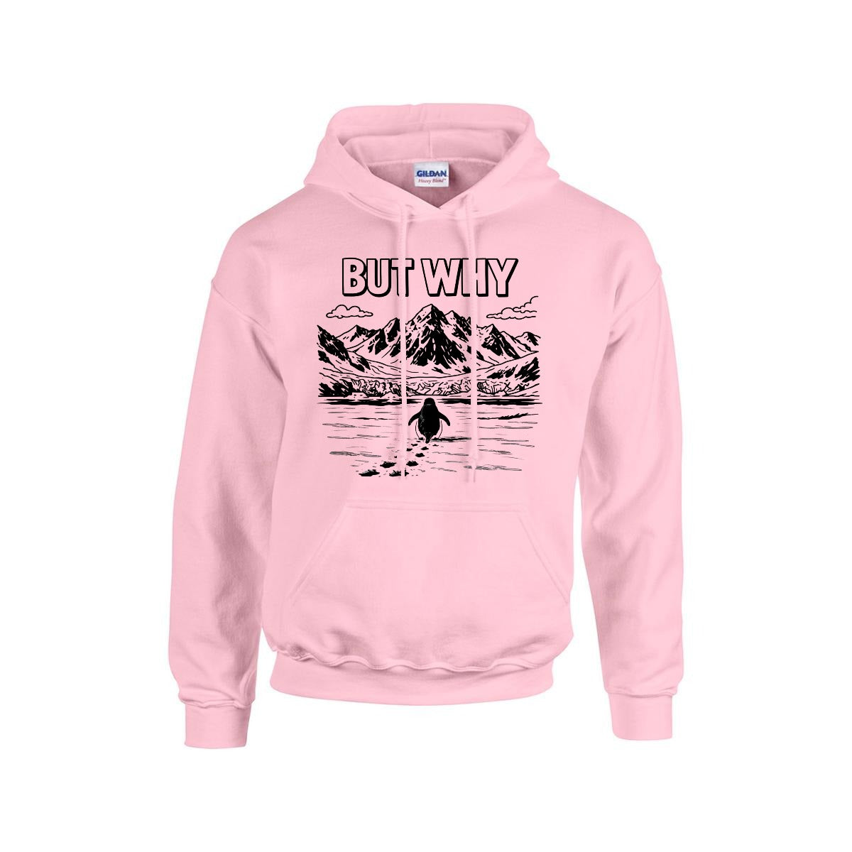 BUT WHY Hoodie