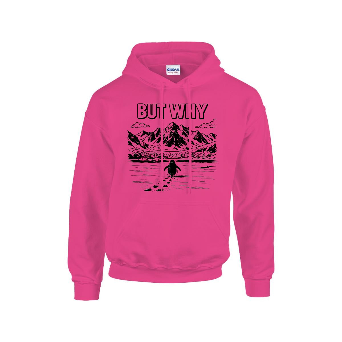 BUT WHY Hoodie