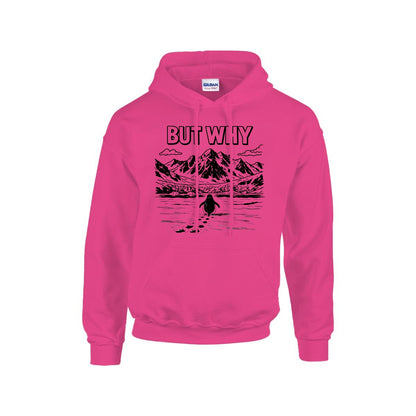 BUT WHY Hoodie