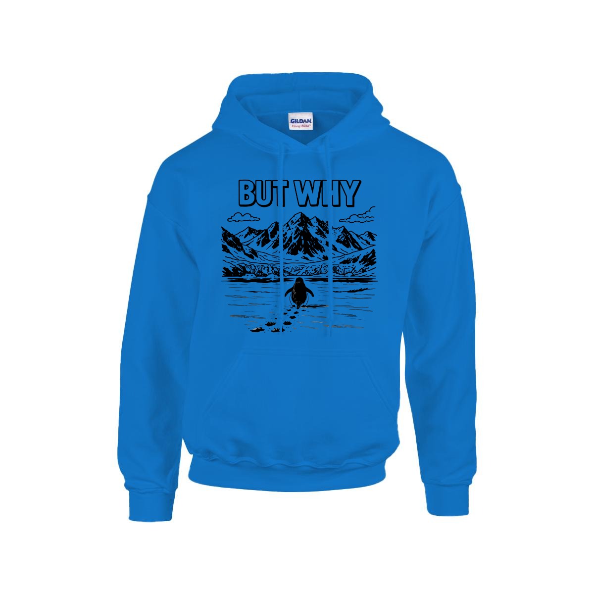 BUT WHY Hoodie