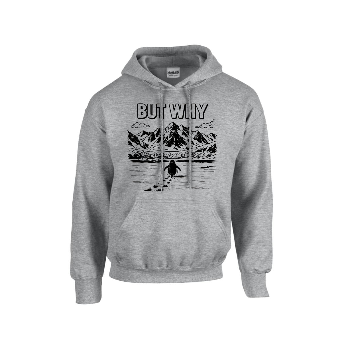 BUT WHY Hoodie